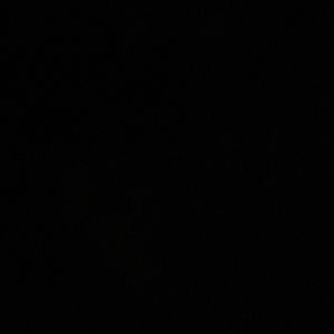 Meet your Posher, Elliotte